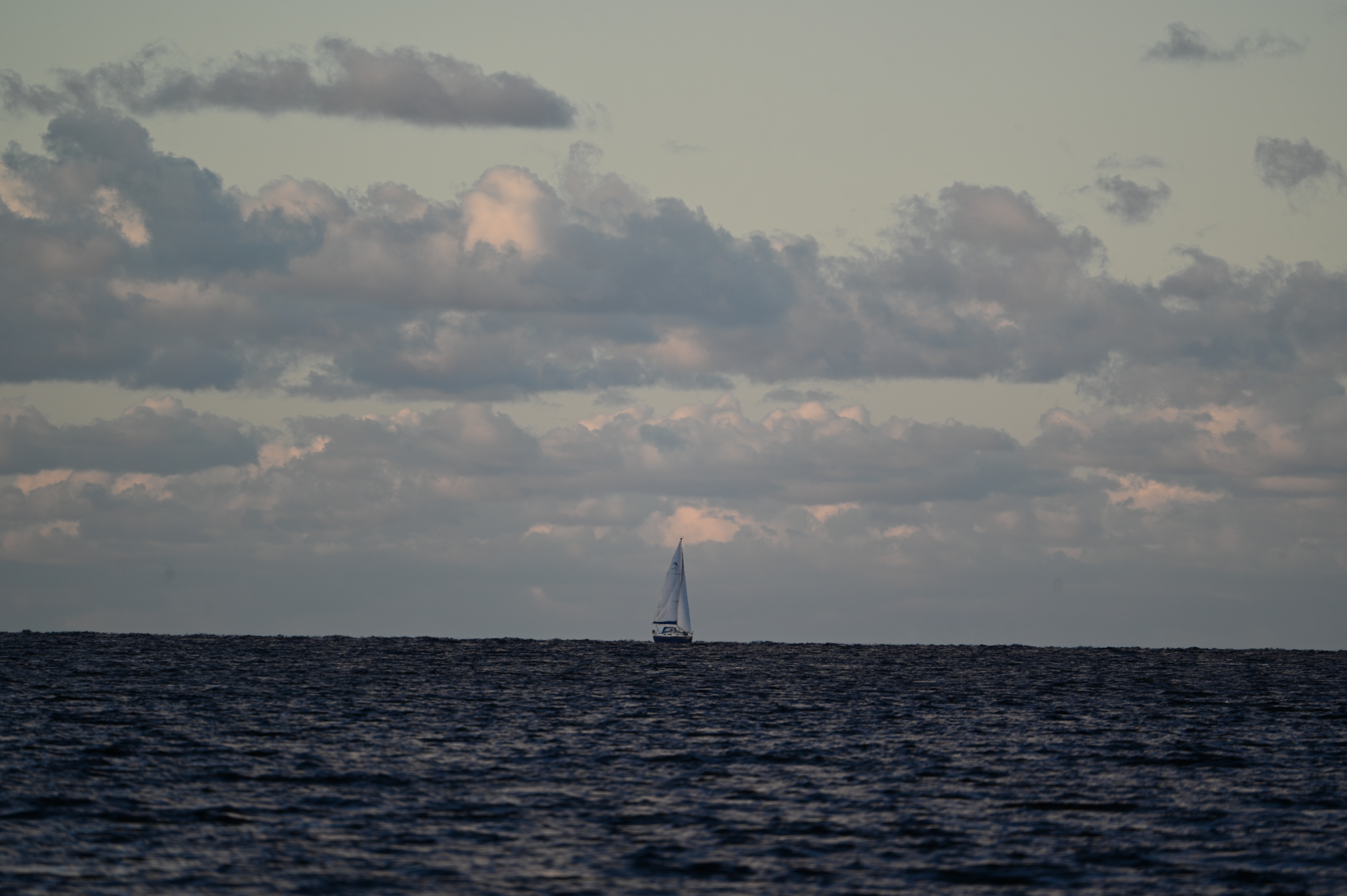 2025/10/18 - walk/DSC_0236.JPG